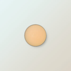 Orange Glossy SheaBalm